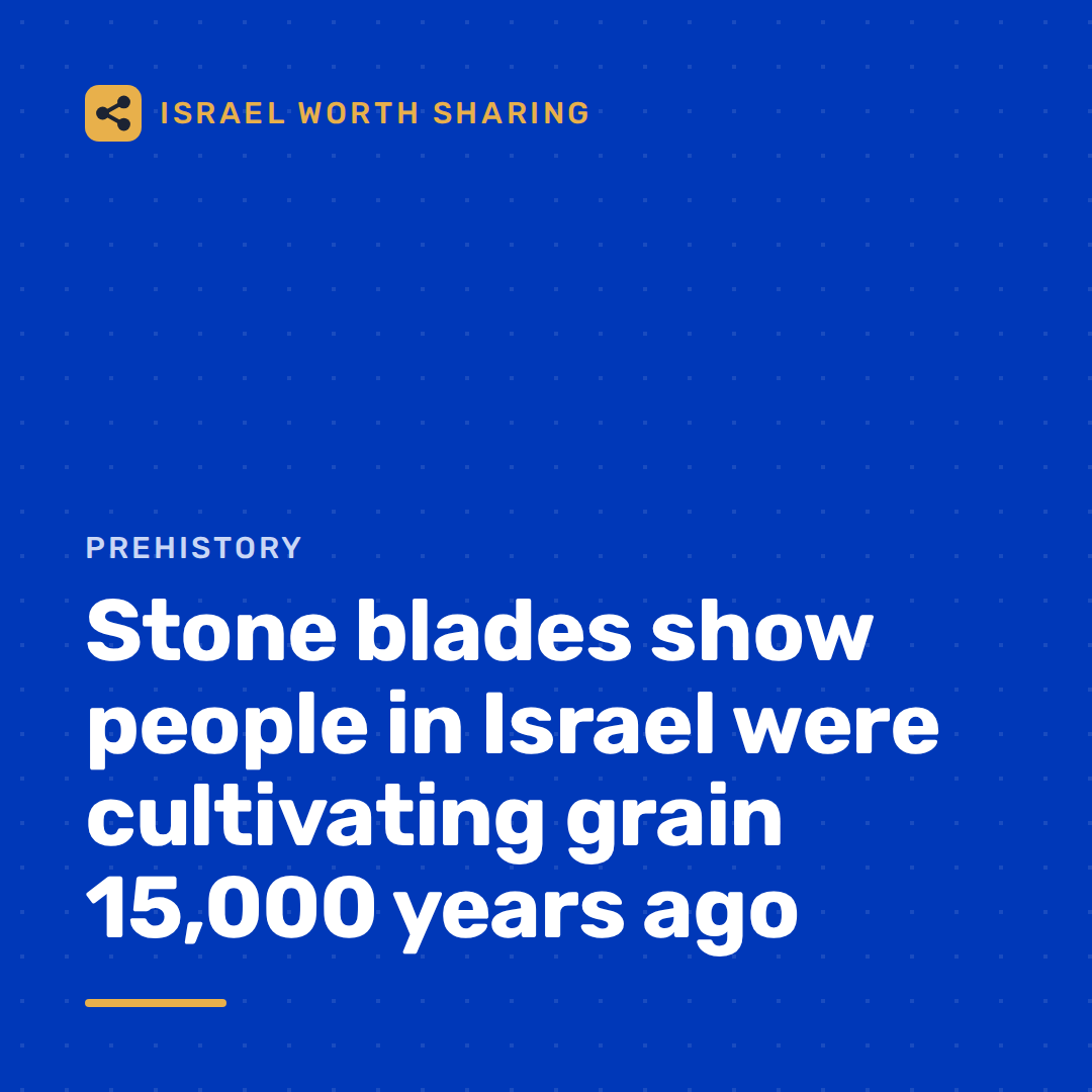 Stone blades show people in Israel were cultivating grain 15,000 years ago