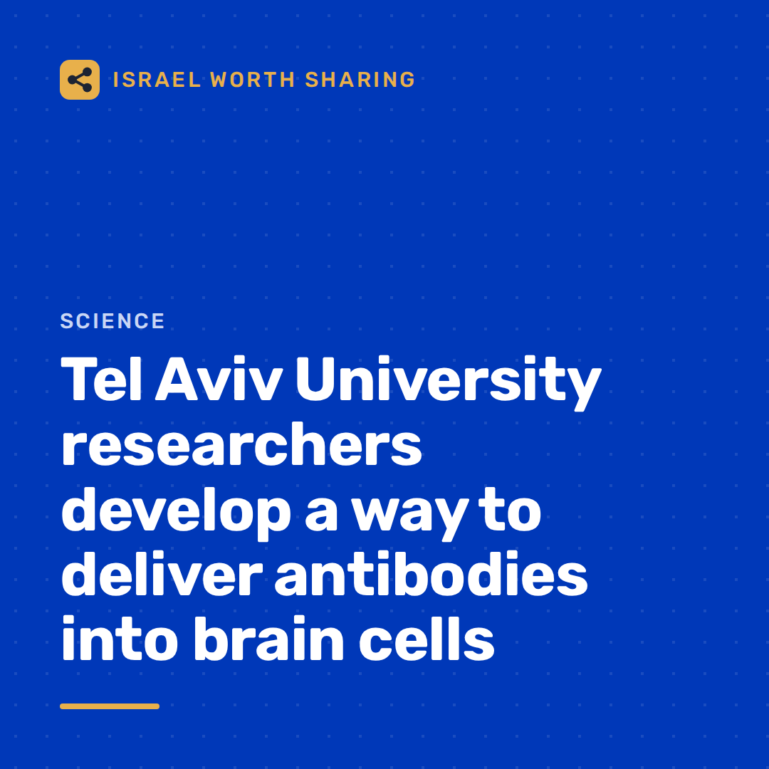 Tel Aviv University researchers develop a way to deliver antibodies into brain cells