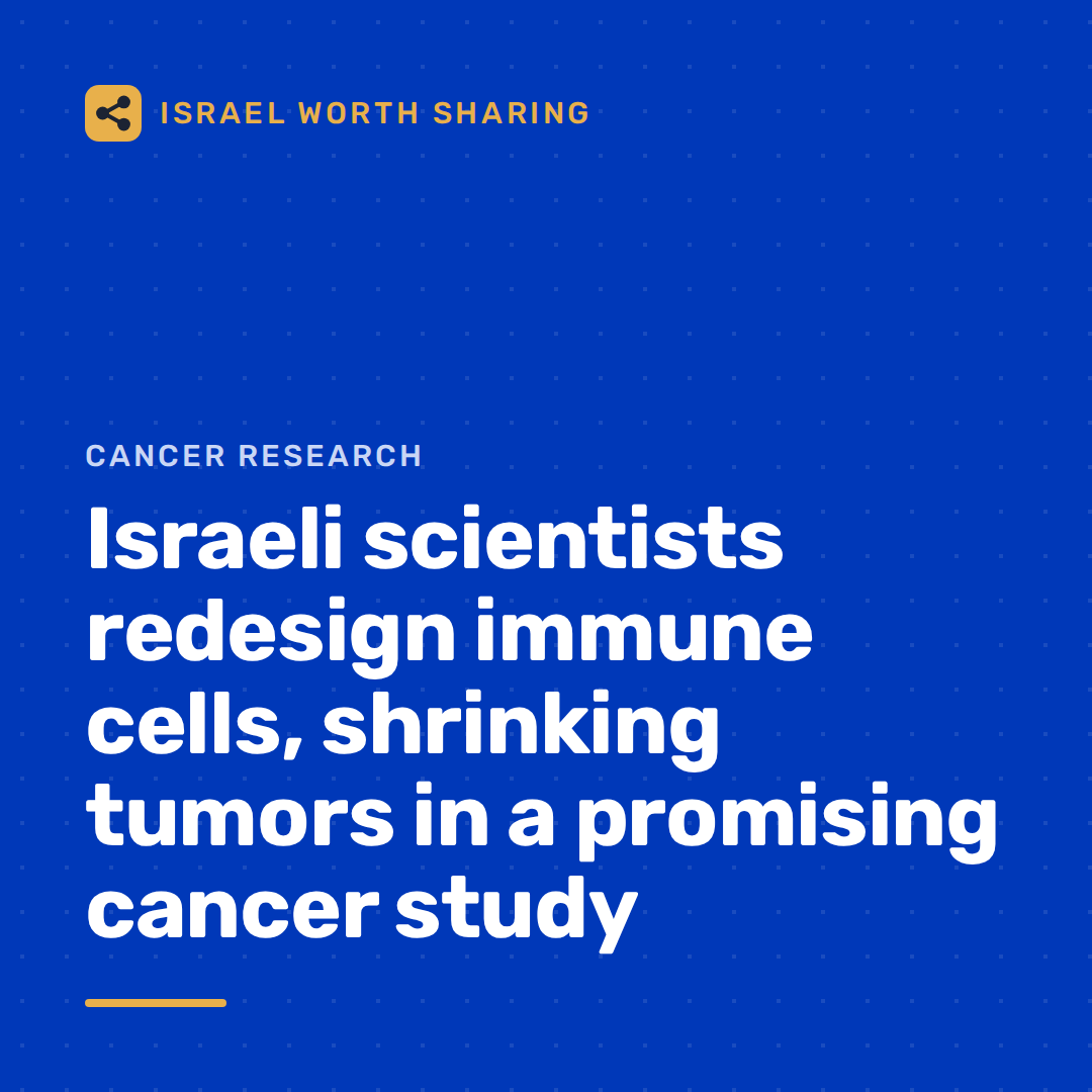 Israeli scientists redesign immune cells, shrinking tumors in a promising cancer study